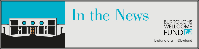 MeltwaterHeader.jpg